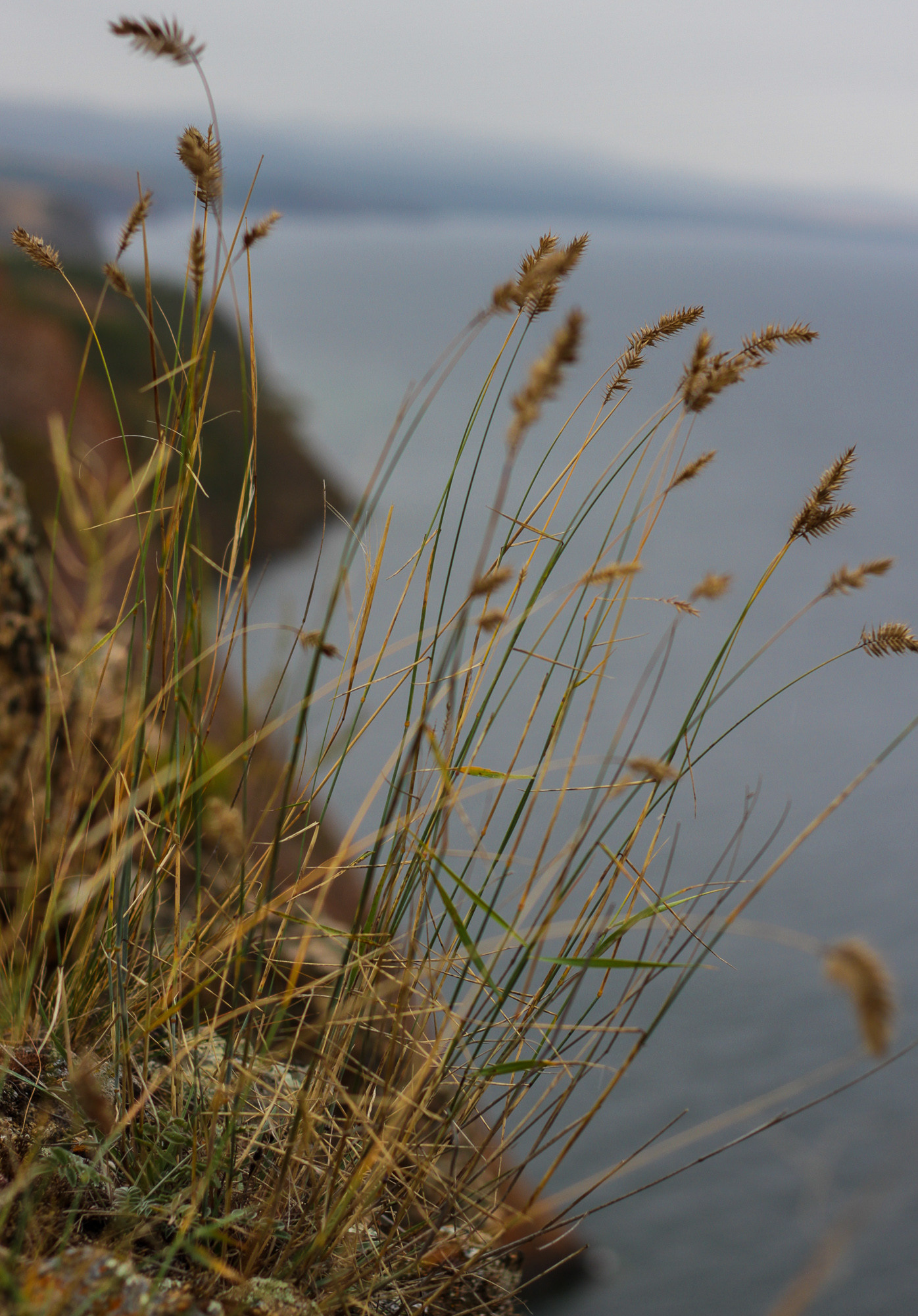 Семейный фотограф в Москве Кочетова Мария