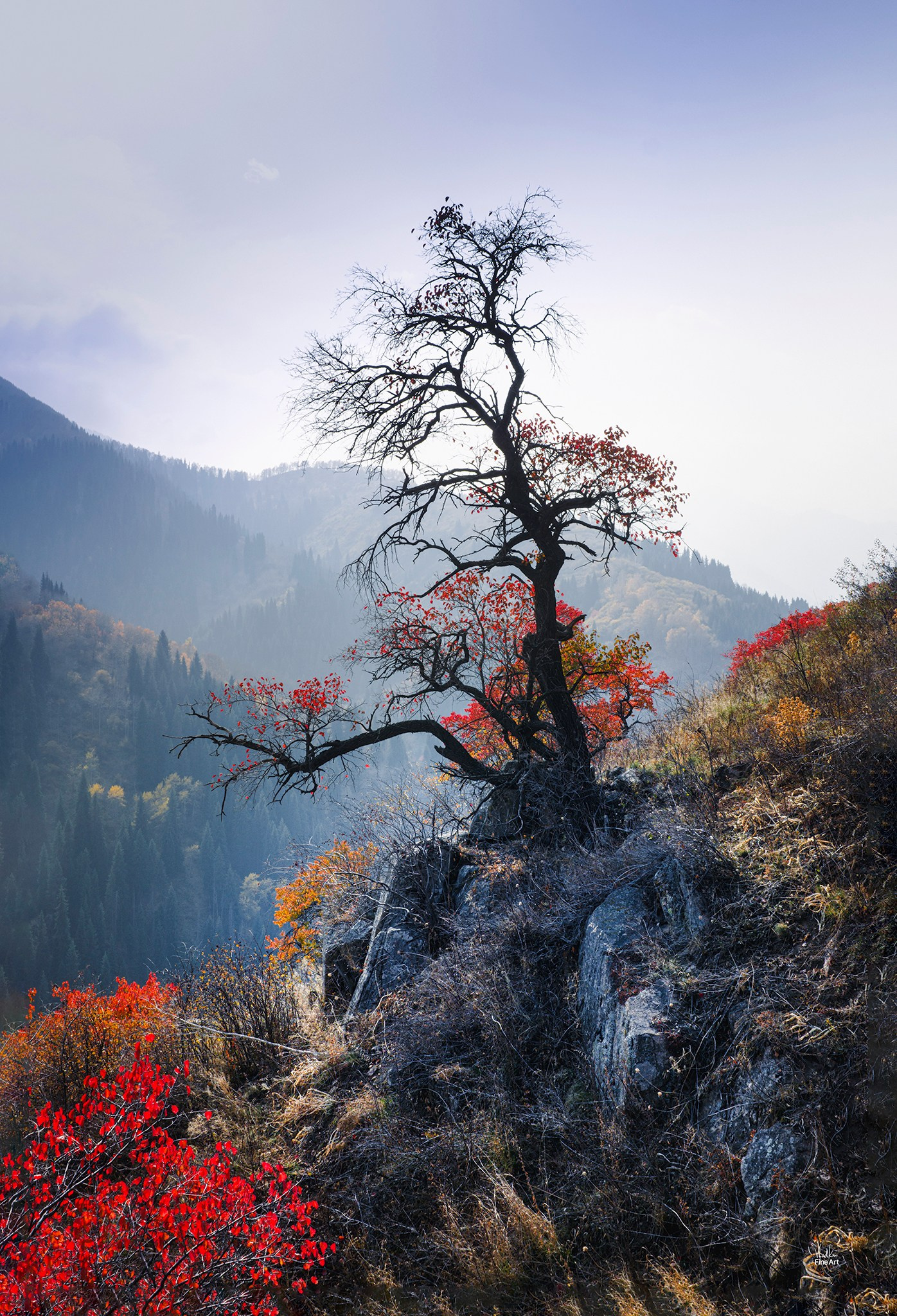 Дыхание высоты. VXN GALLERY