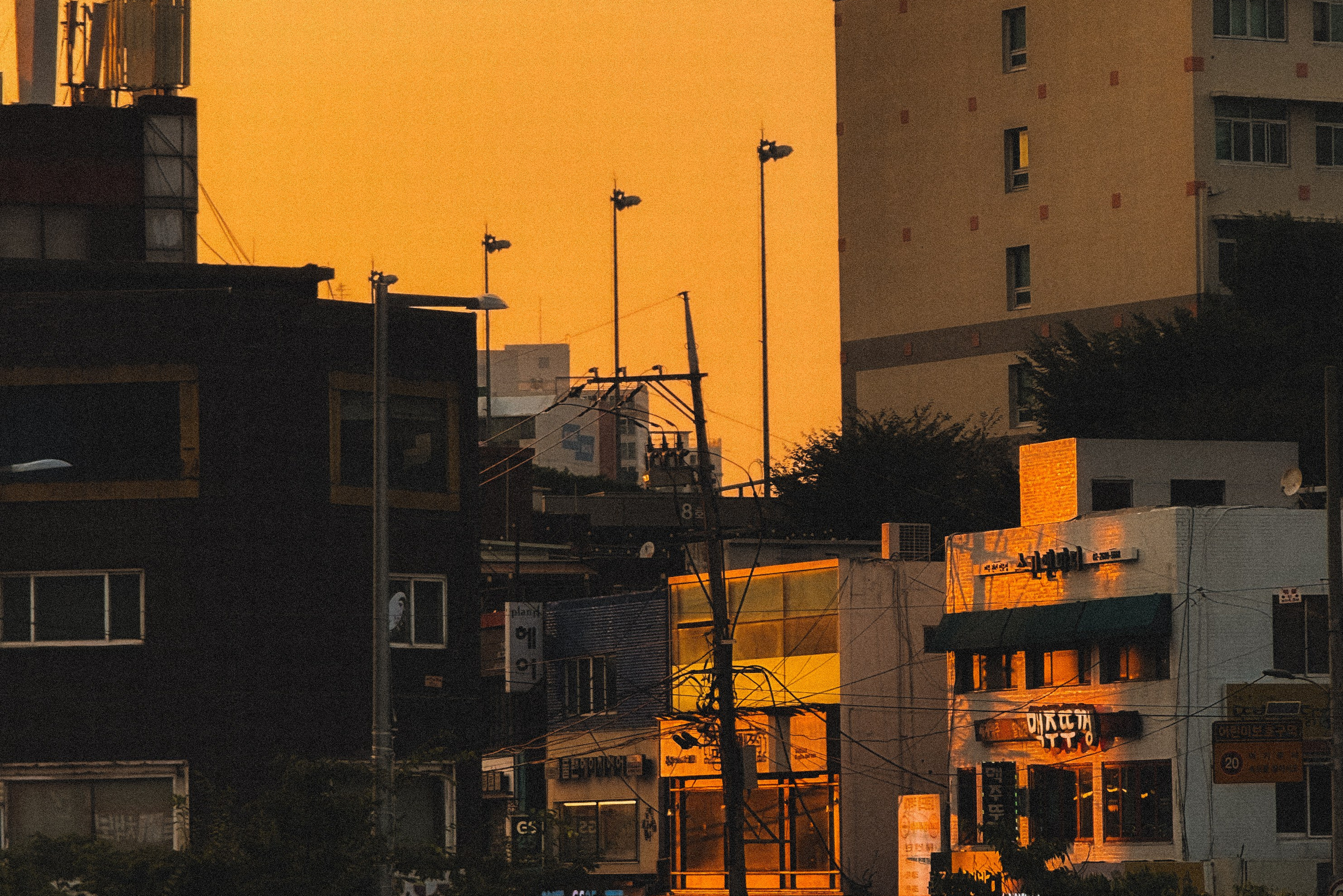 Фотограф Анастасия Дмитриева