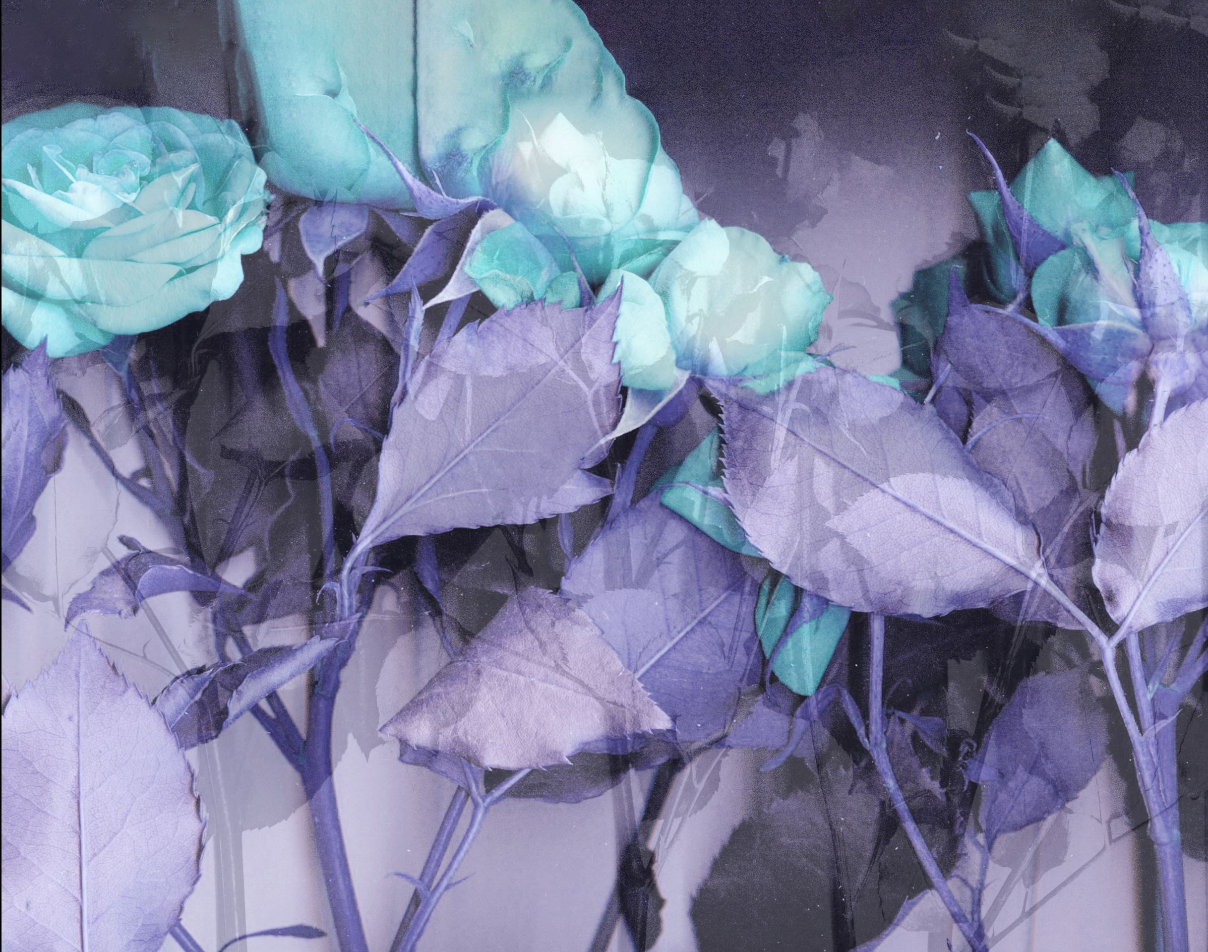 ЭДГАР ПО. Soulstamina ~ graphic designer & visual artist from St.Petersburg