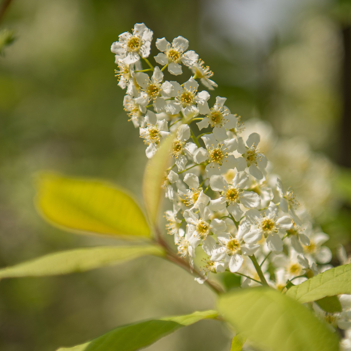 Контакты. Фотограф в Братске Алёна Мытникова