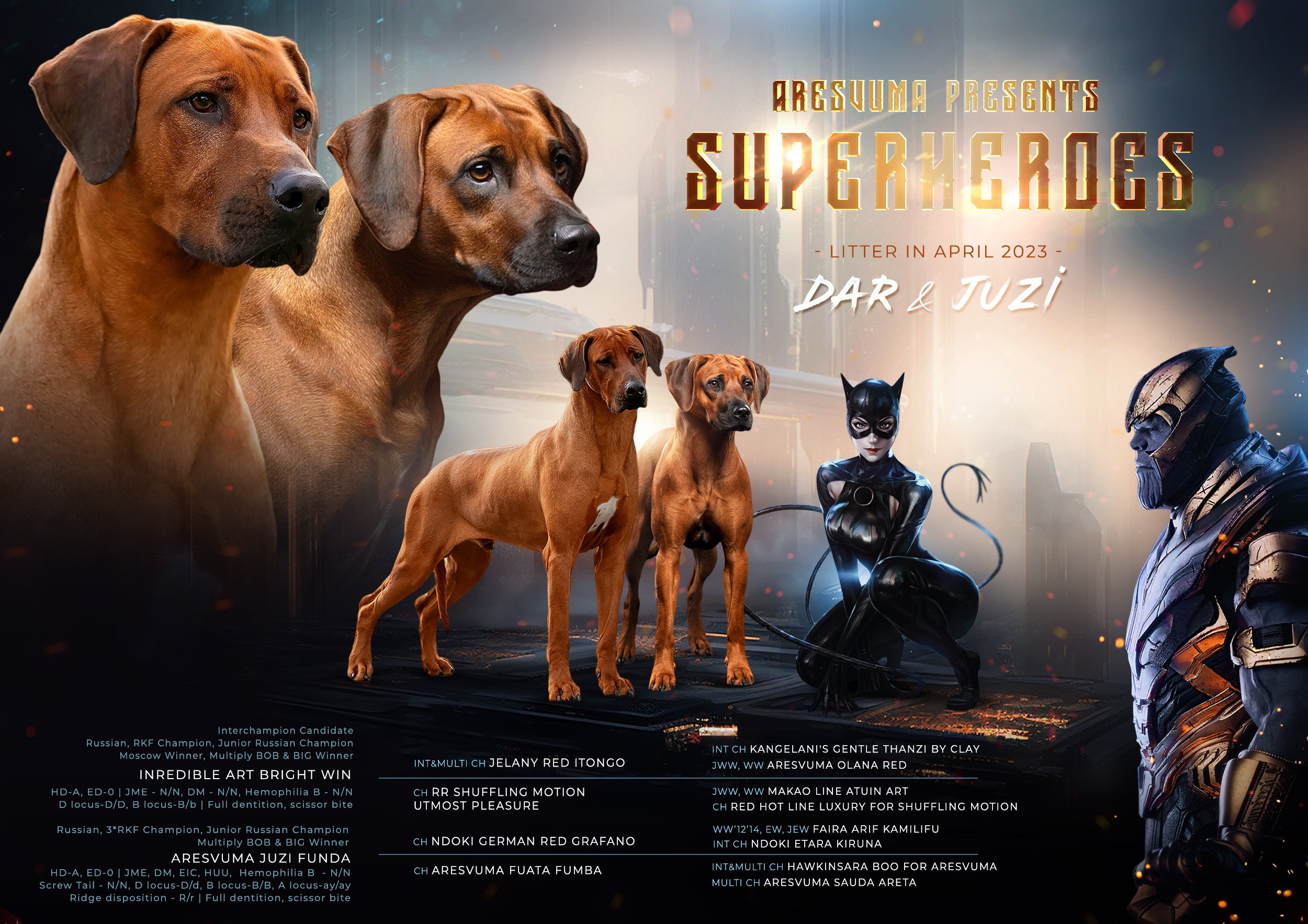 Наши щенки. Родезийские Риджбеки в Санкт-Петербурге