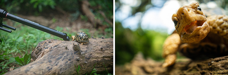 Новая модель трубчатого макрообъектива LAOWA «Macro Pro2be». Фотограф — видеограф в Москве Дмитрий Менделеев