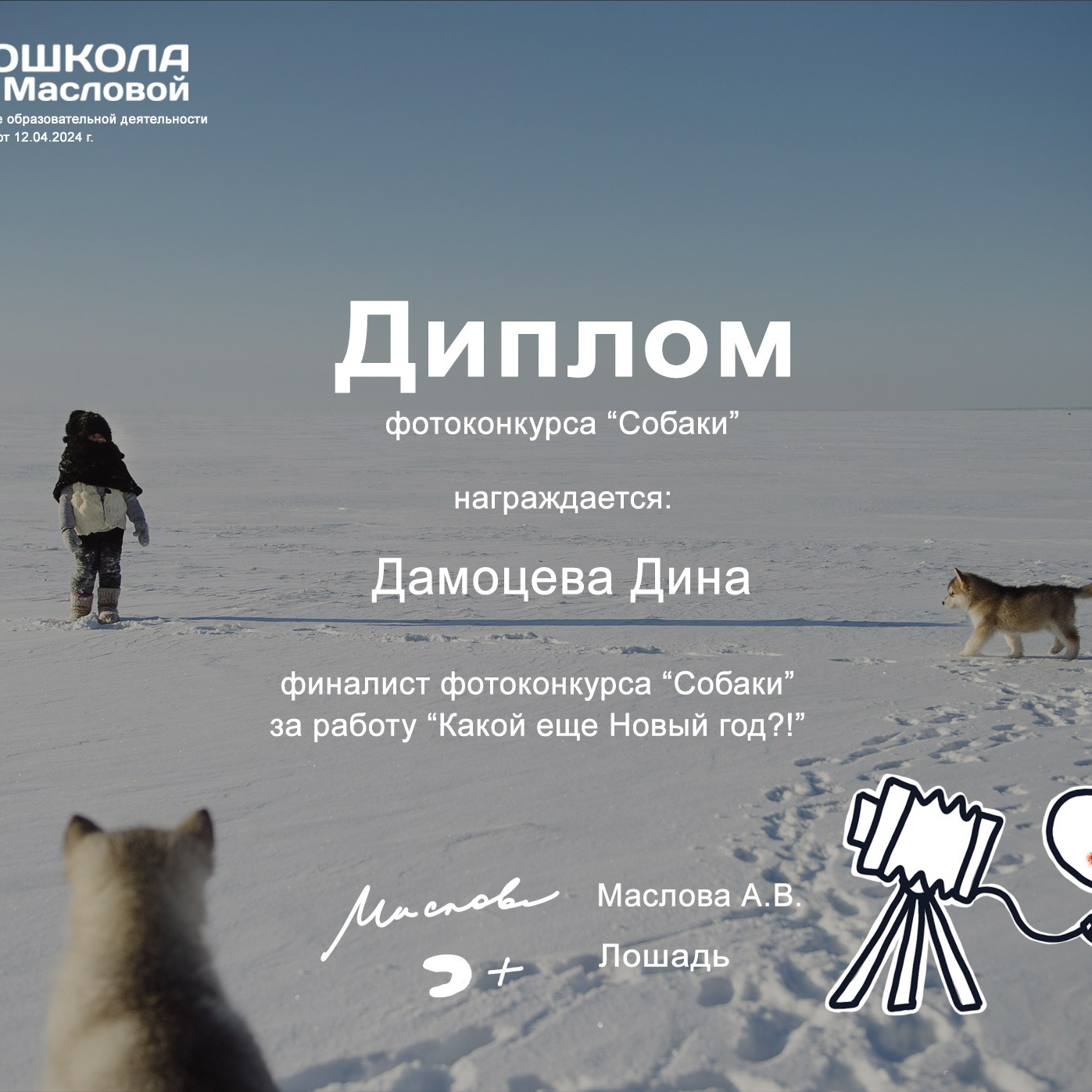 Дипломы и сертификаты. Зоофотограф, фотограф животных в Москве и области Дина Дамоцева