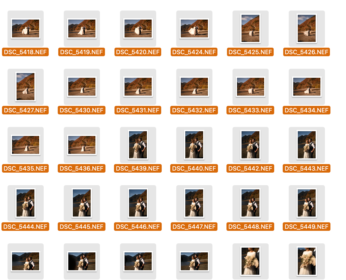 Исходники Свадьба озеро Рицца