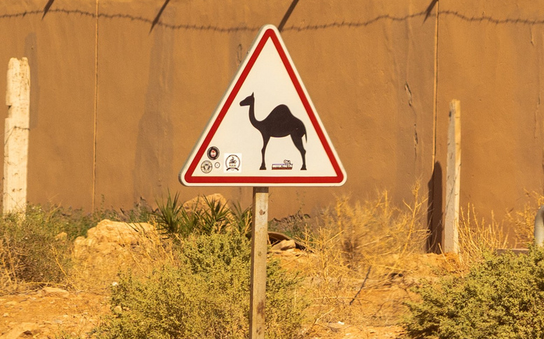 Марокко. Илья Варин — Фотограф Москва, Тверь