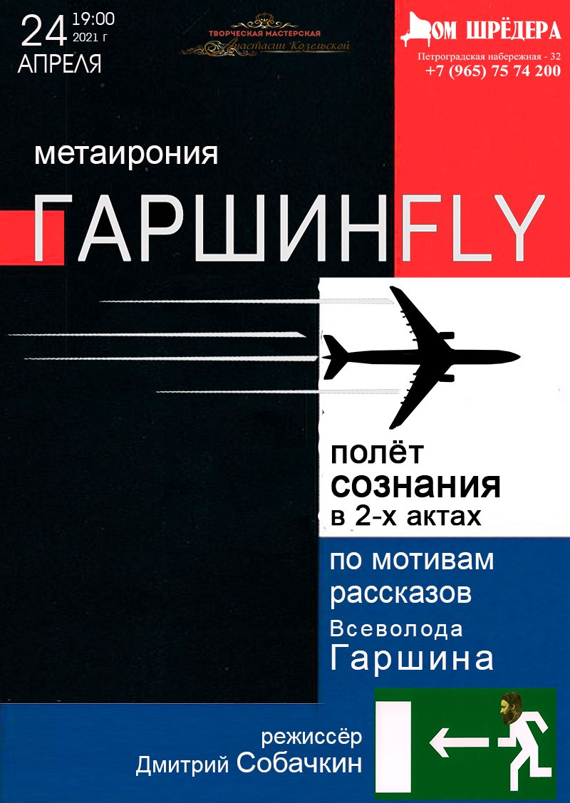 «ГАРШИН-FLY» метаирония. Полёт сознания, режиссёр - Дмитрий Собачкин, Дом Шрёдера