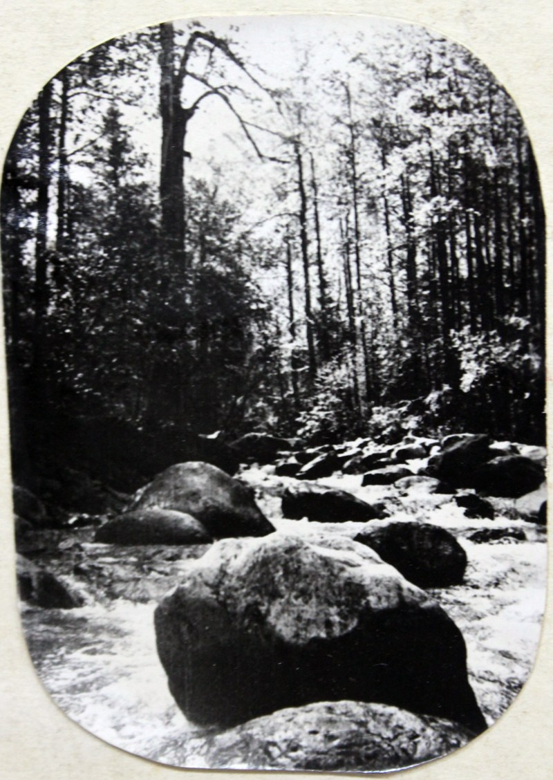 Тайгой и водой Прибайкалья (1966). Фотограф Эдуард Алмадаков