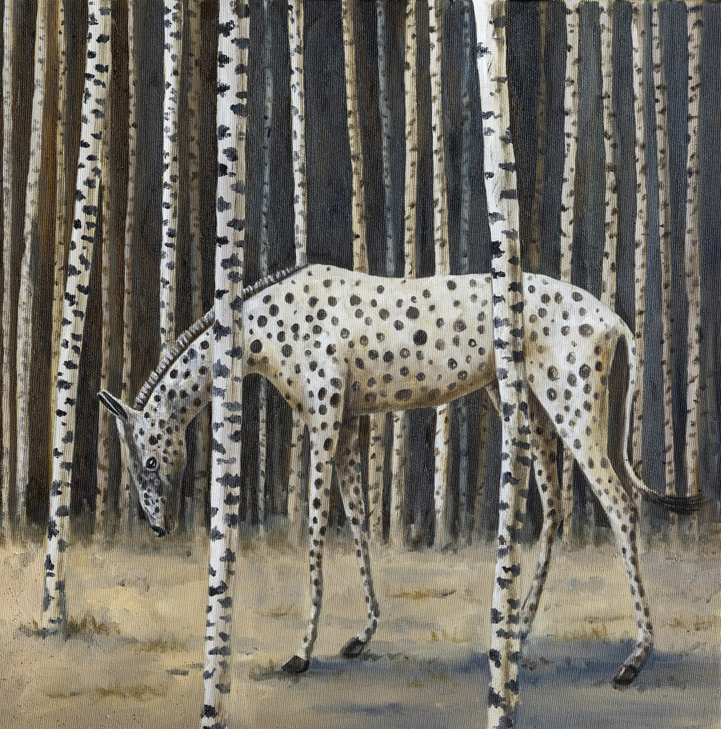 Paintings Premium. Astrakhov Pavel, photographer and artist