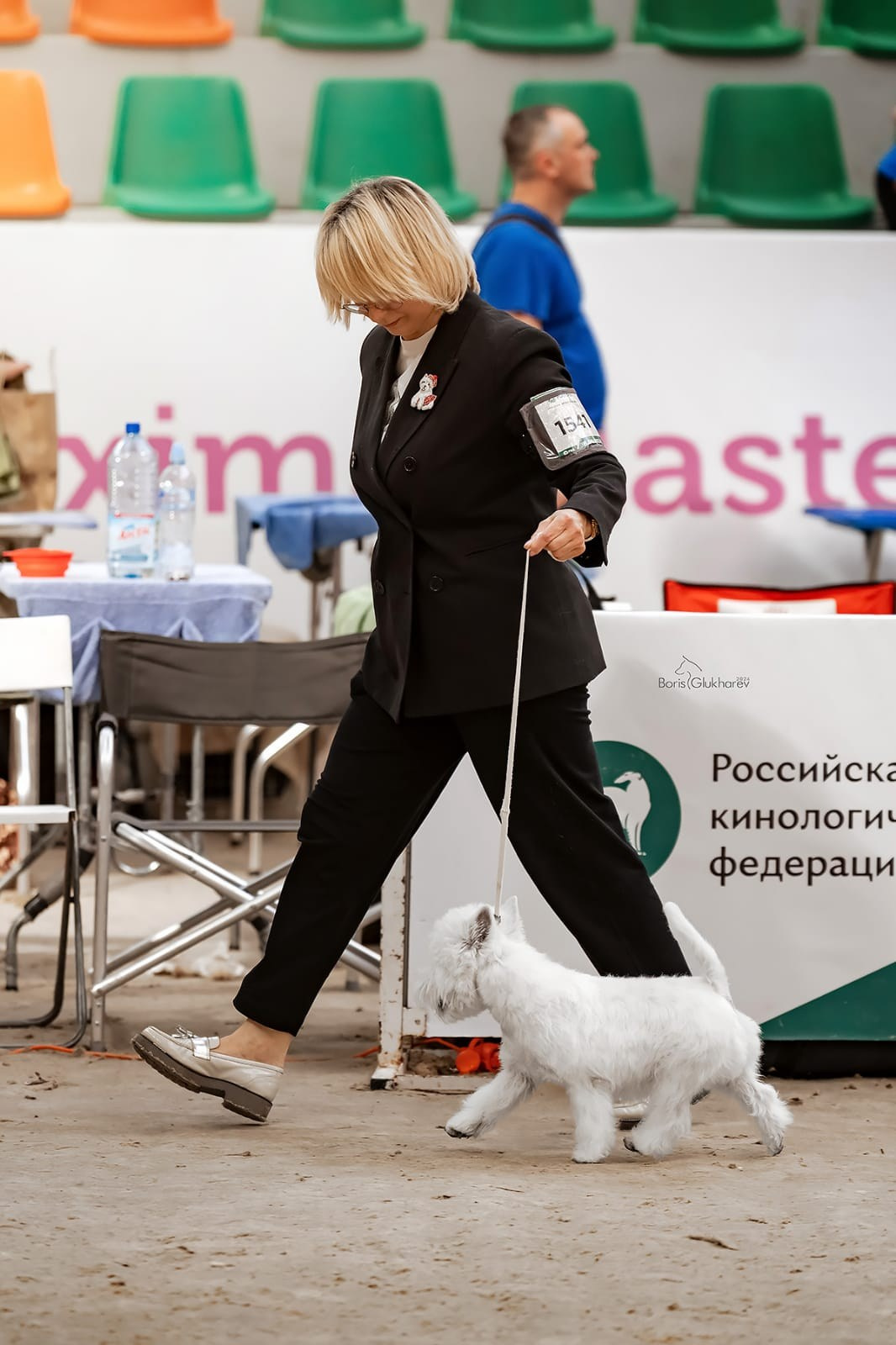 Выставка собак всех пород с особым статусом «Россия — 2024». Питомник собак породы вест хайленд вайт терьер в Москве