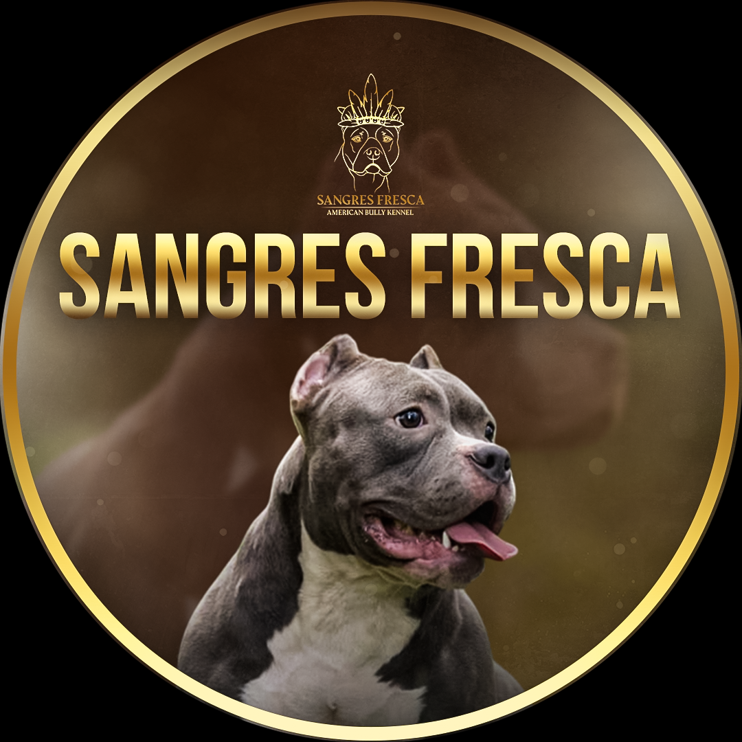 Контакты. SANGRES FRESCA | Питомник американских булли в Московской области