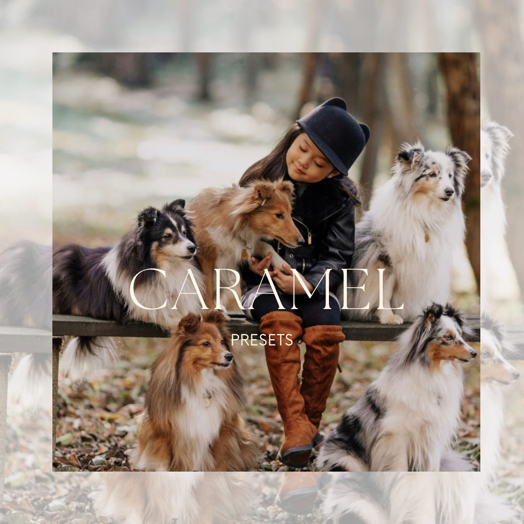 Пресеты. Свадебный и репортажный фотограф Ольга Шевелёва