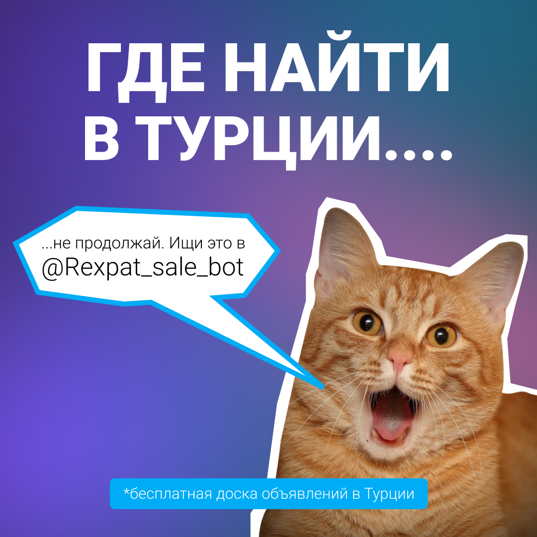 RExpat.io — Сервис для переезда и комфортной жизни заграницей. Таргетолог Кирилл Мольков, таргетирую по всему миру