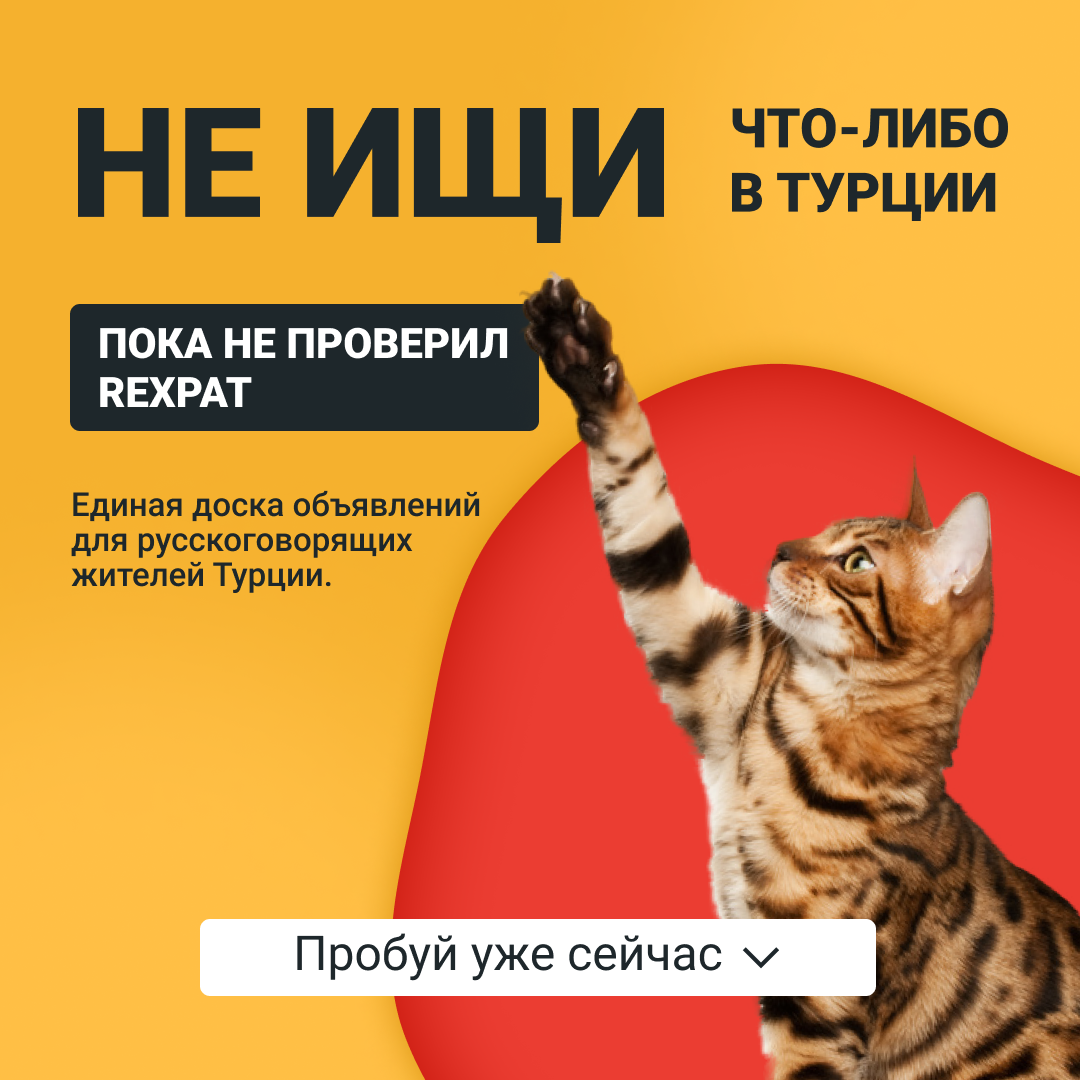 RExpat.io — Сервис для переезда и комфортной жизни заграницей. Таргетолог Кирилл Мольков, таргетирую по всему миру