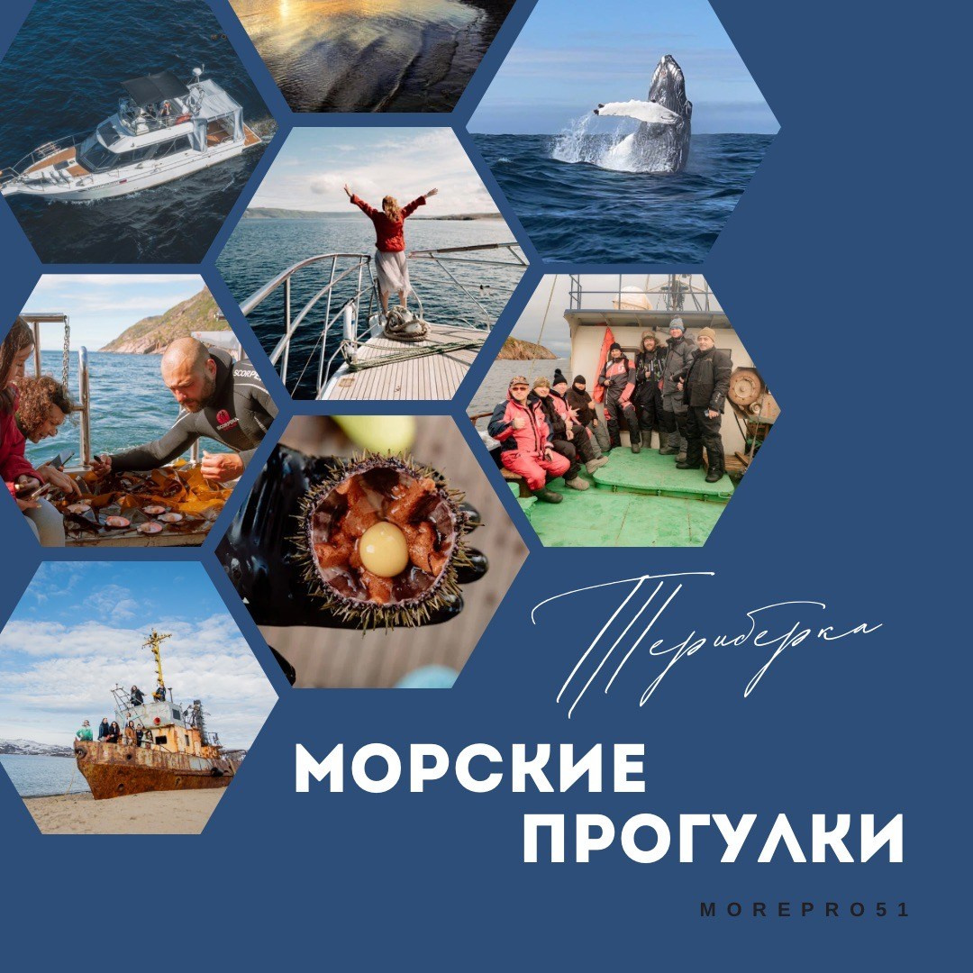 Услуги. Море Про