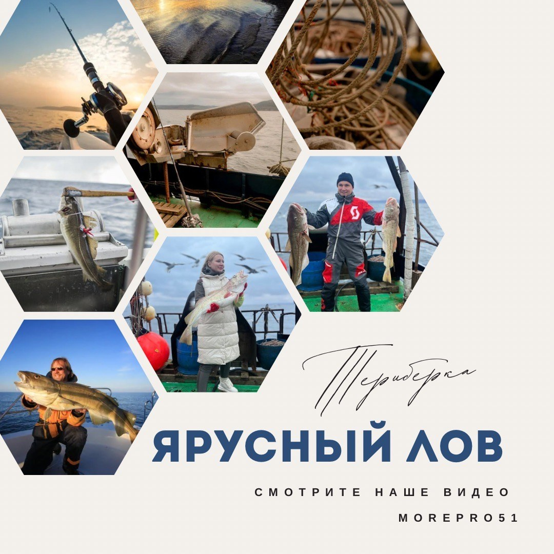 Услуги. Море Про