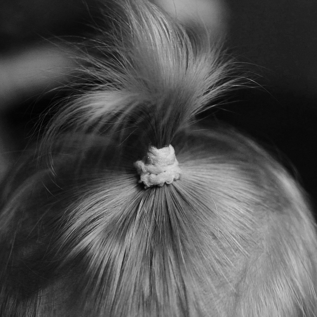 Семейные истории