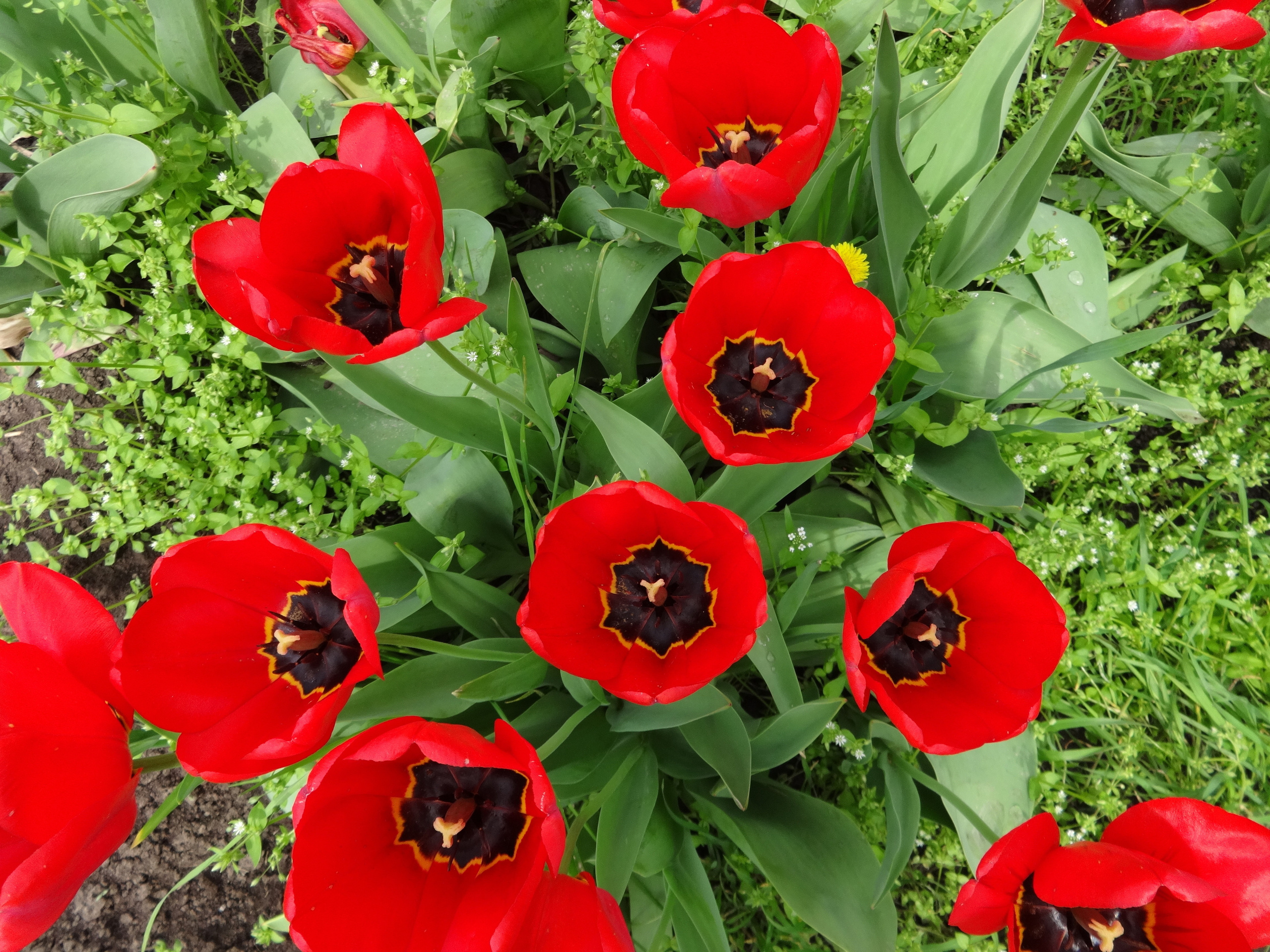 Контакты. Галерея