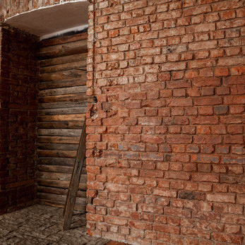 adini studio фотостудия спб