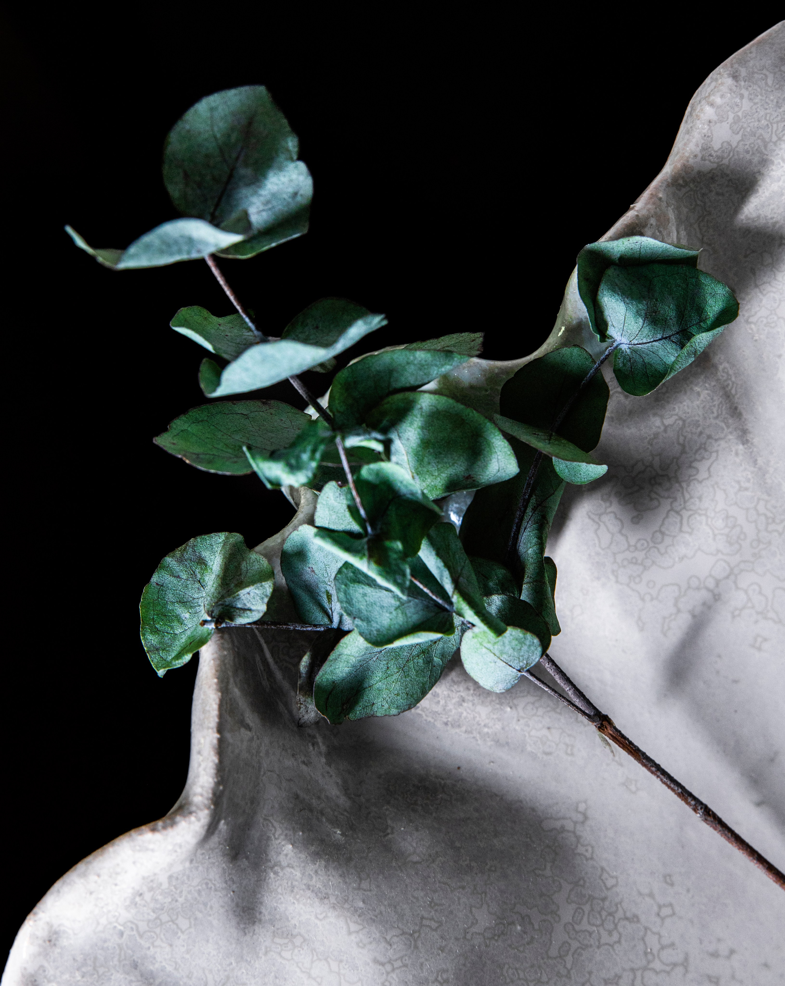 SONSON Ceramics campaign 2025. Фотограф Анна Фокина