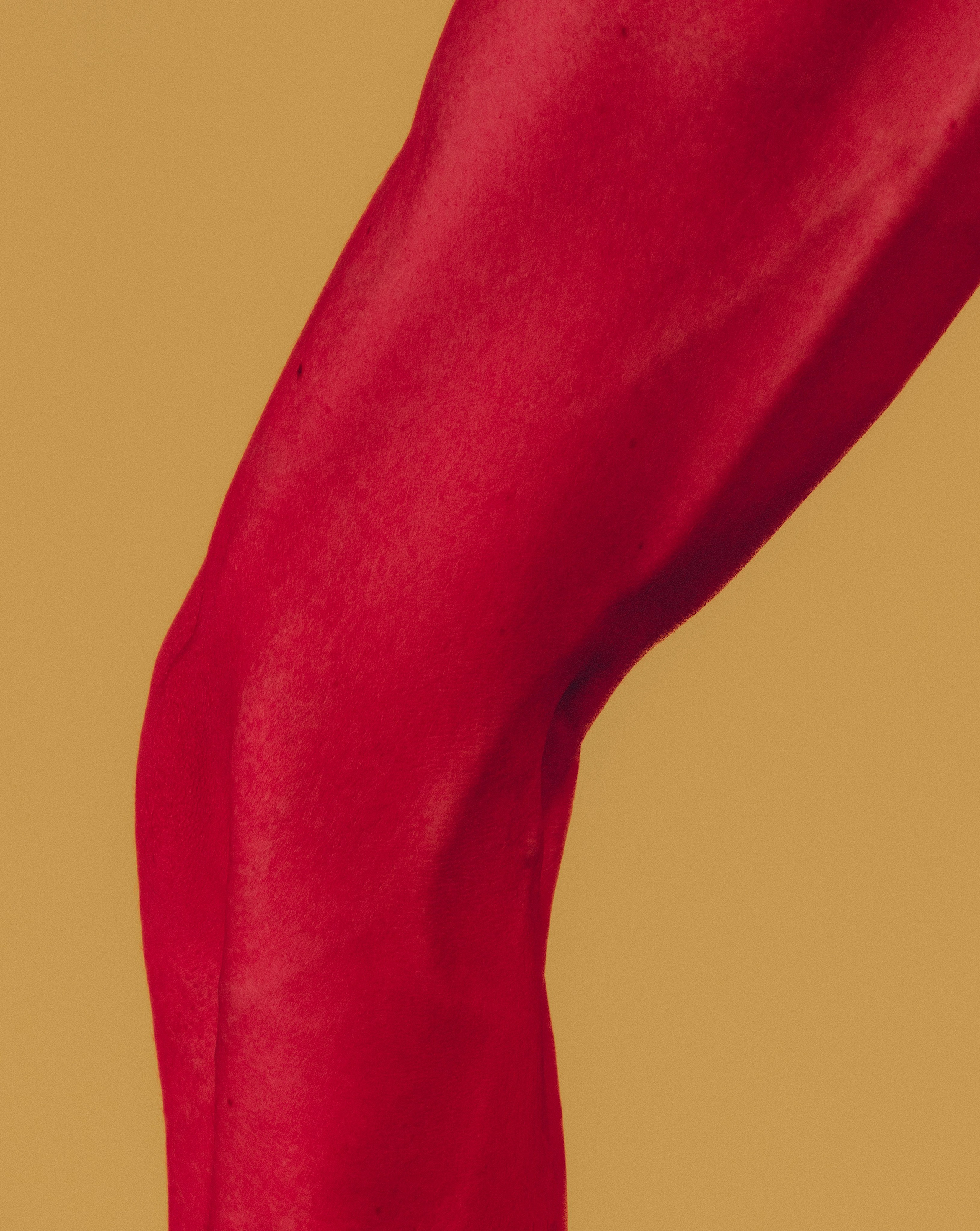 Фокина Анна. ARTEXPOPHOTO