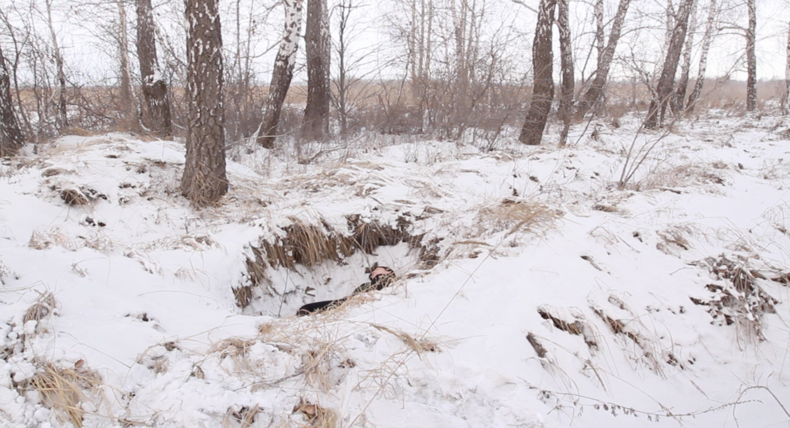 The Bakal project at the exhibition “Point 55.754630, 37.638530”