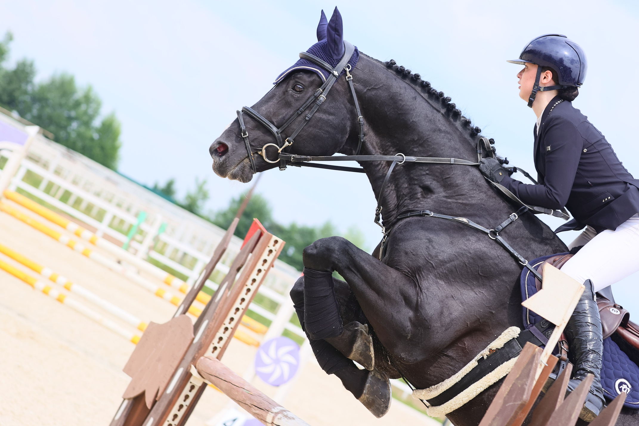Купить фотографии с турниров. KatymartArt — Equine photography