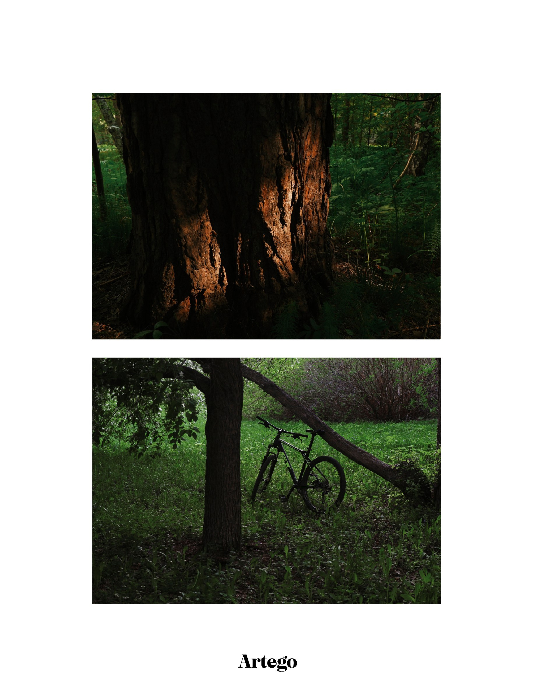 Публикации в журналах. Светлана Юстус, портретный фотограф в Новосибирске