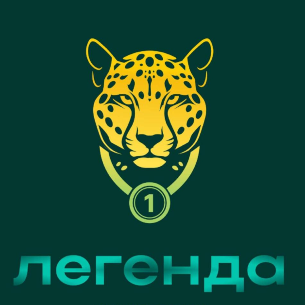 Партнеры. Федерация Командной Гимнастики России