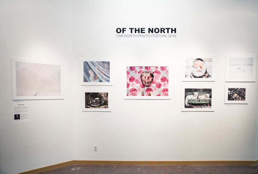 Far North Festival / Yellowknife, Canada. Елена Аносова — художница и исследовательница, куратор и лектор