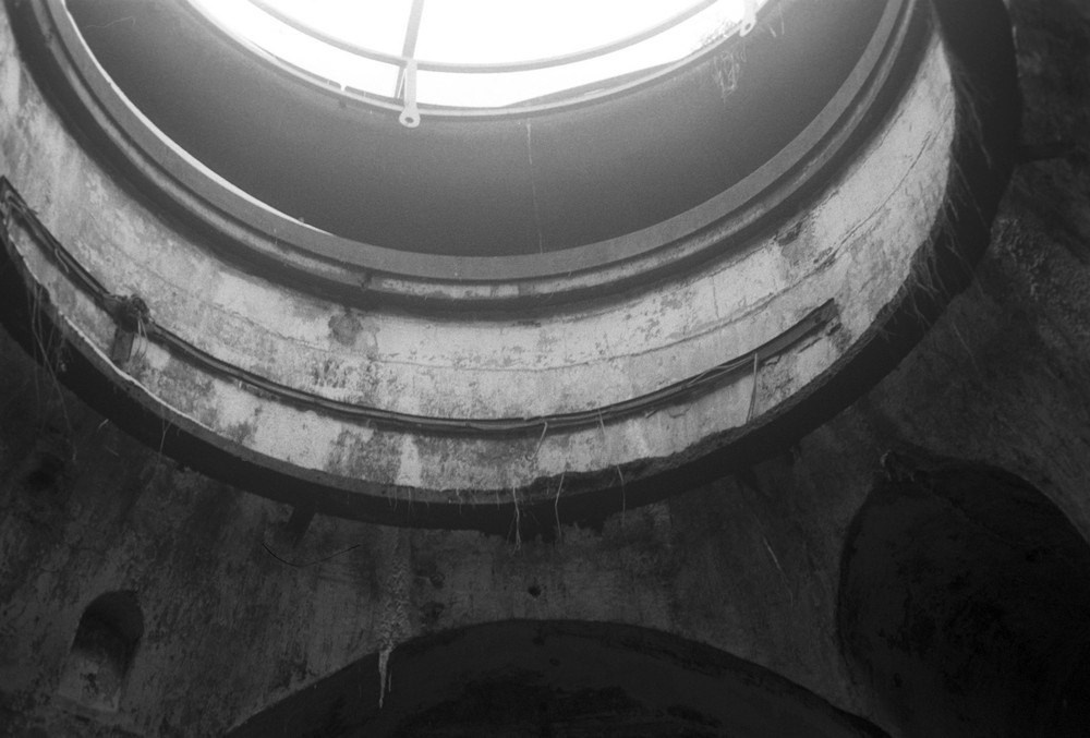 Полина Шелухина «11.11 11:00». Самоорганизация Низина