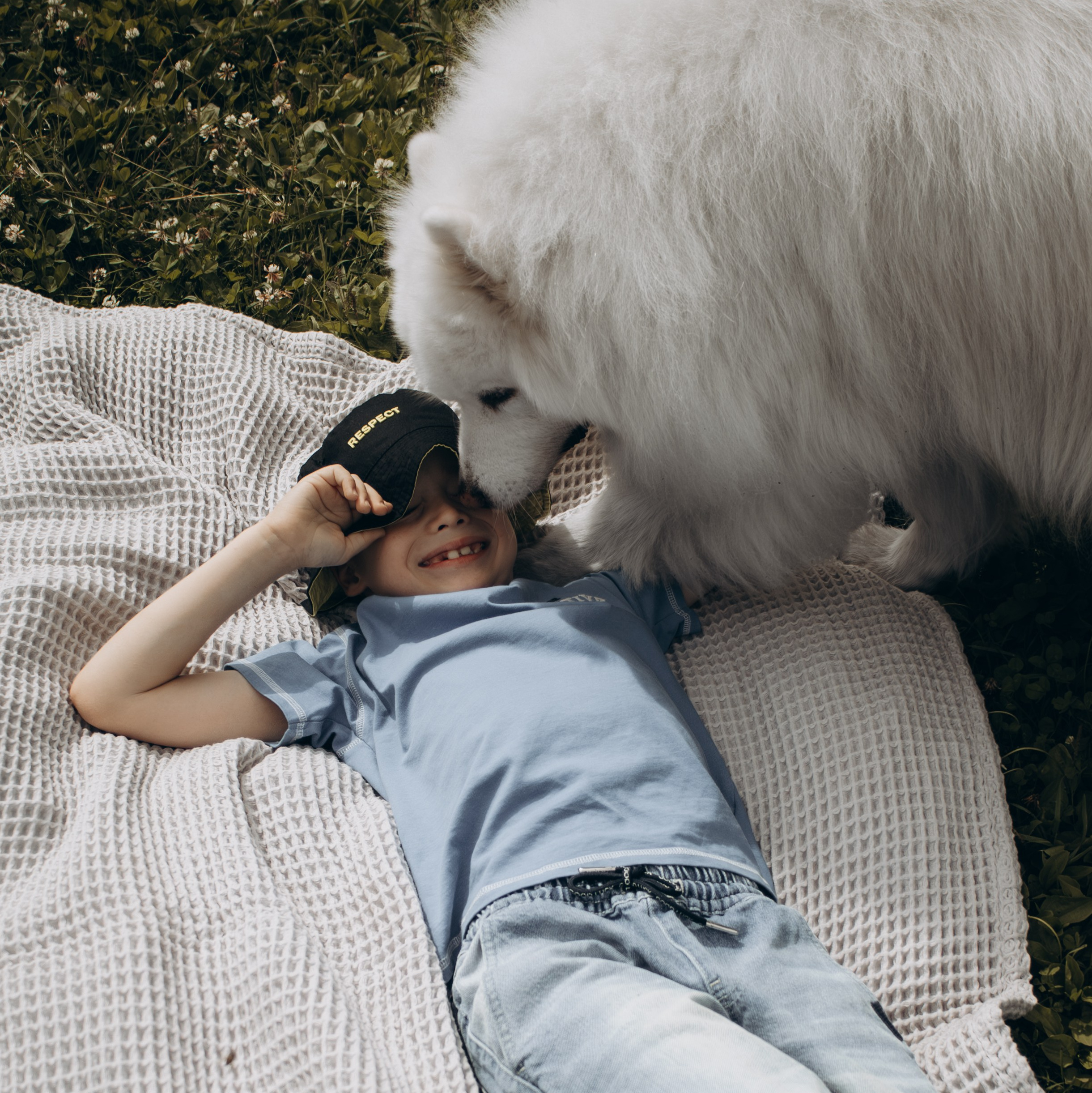 Как подготовить собаку к фотосессии. Фотограф-анималист в Москве Екатерина Тихонова