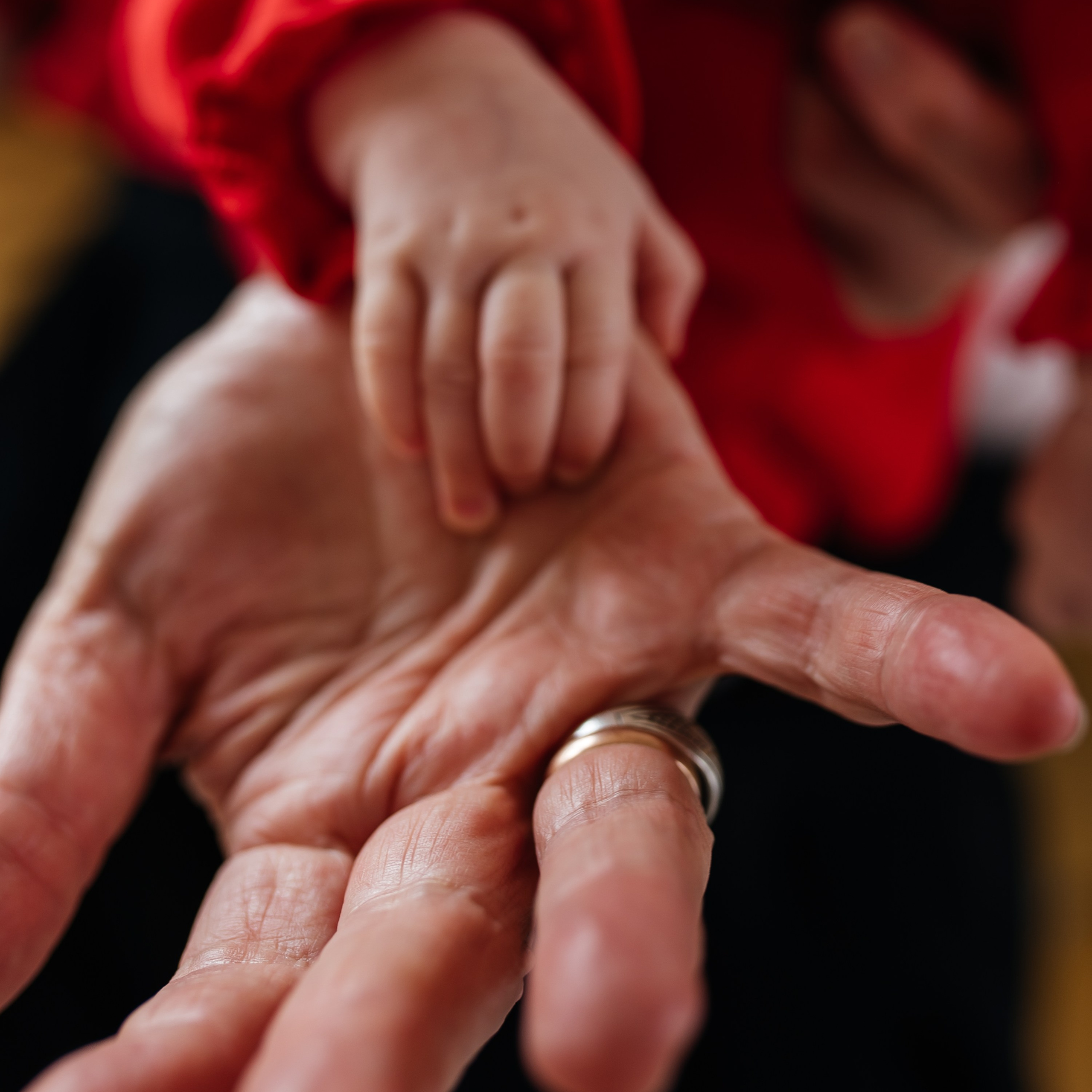 Стоимость. Фотограф Истра/Москва/МО Светлана Король