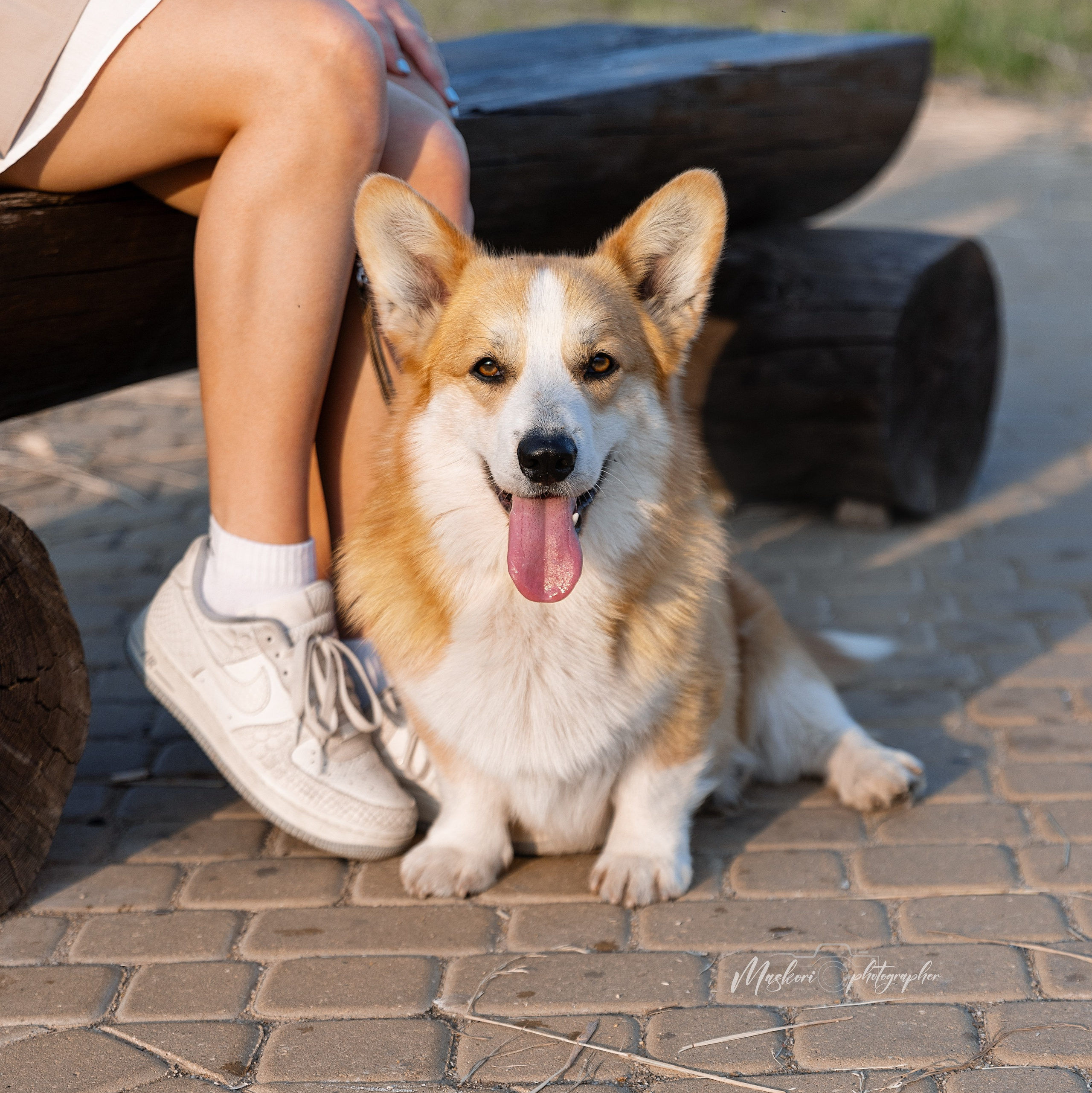 Услуги. Главная