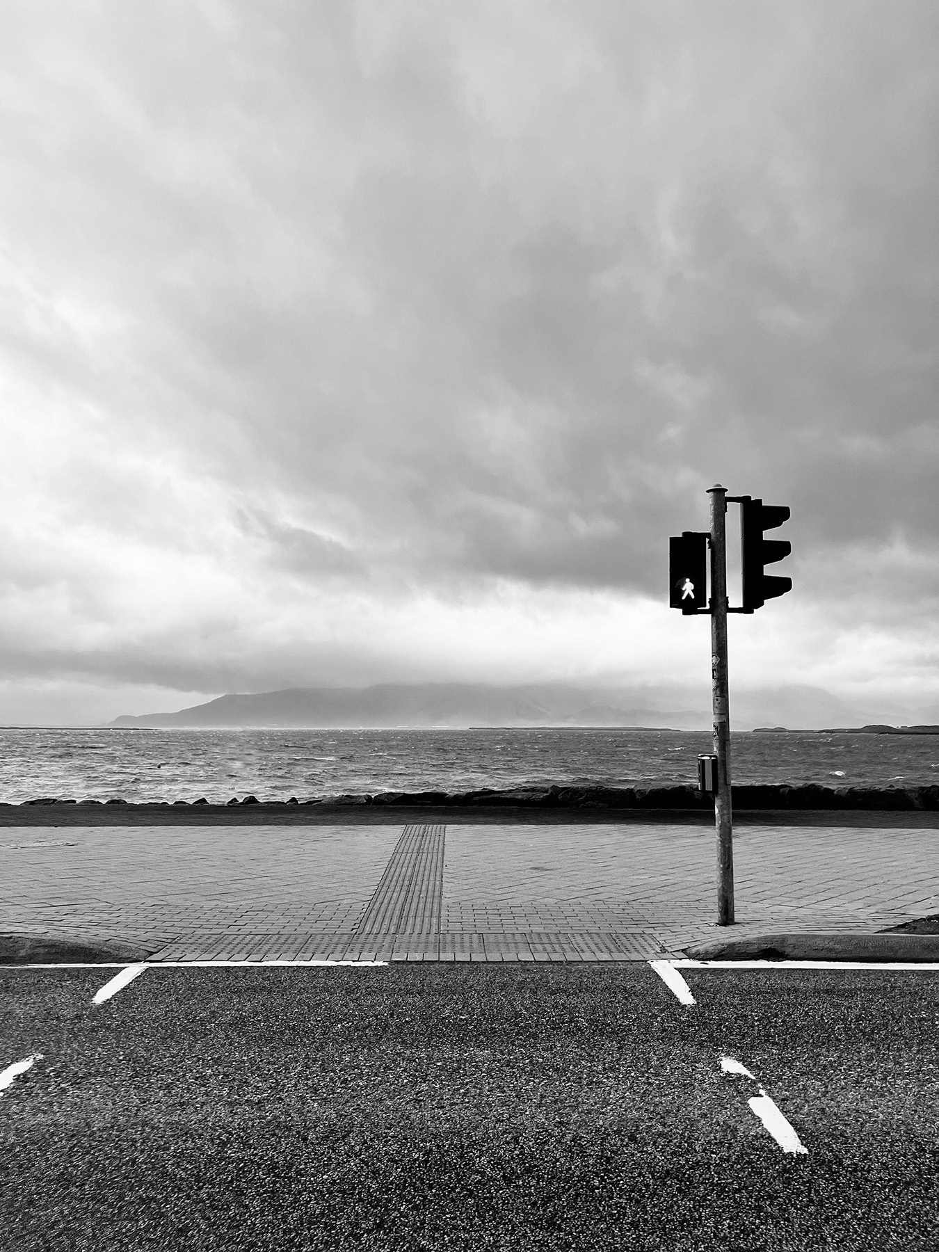 Нефф Ольга. Организация фотовыставок в Петербурге и Москве, MFamilia (МФамилия)