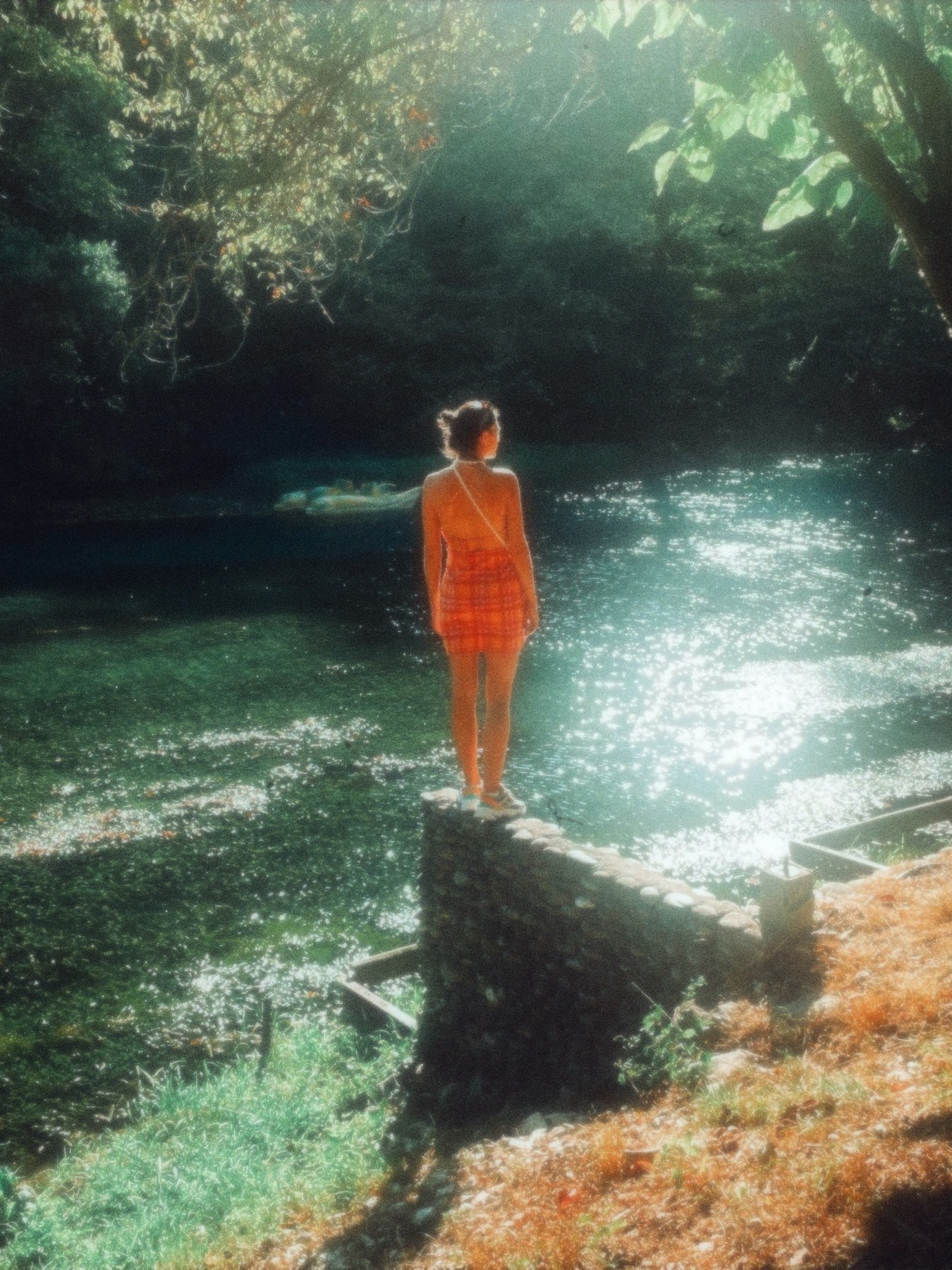 Скрипка Виолетта. ARTEXPOPHOTO