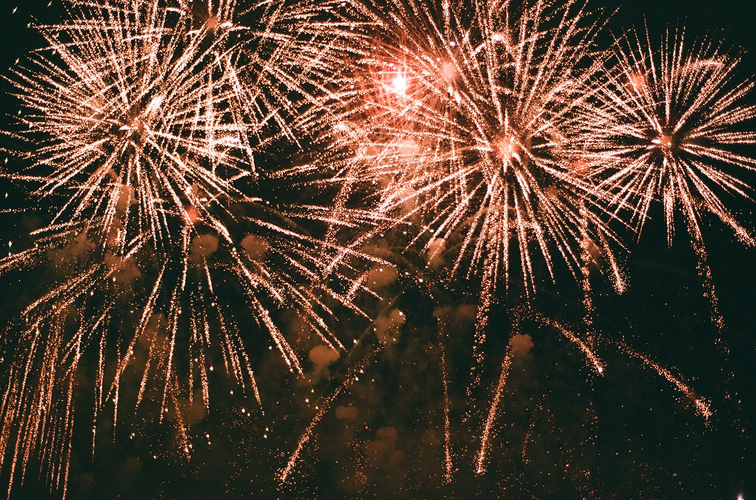 How I Work. Photographer Yulia Lushnikova, Based in Valencia