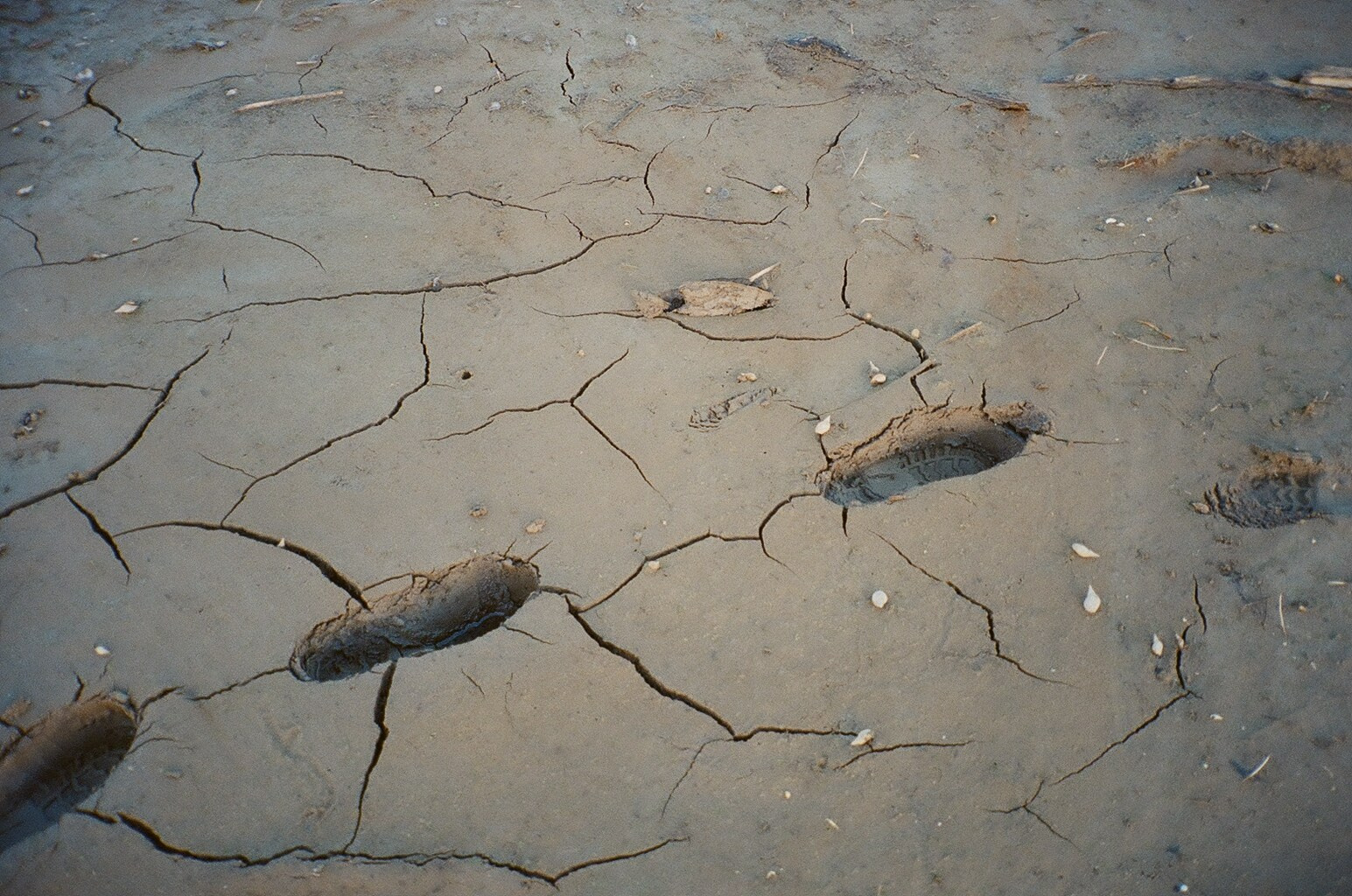 Горетово (2016-2022) — Избранные серии — Документальный фотограф Настя Сергеева