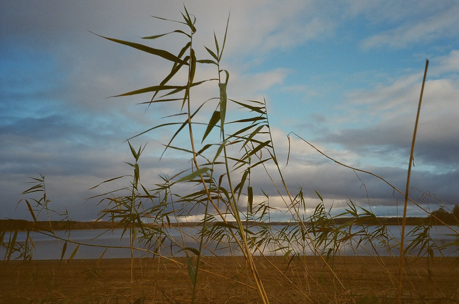 Горетово (2016-2022) — Избранные серии — Документальный фотограф Настя Сергеева