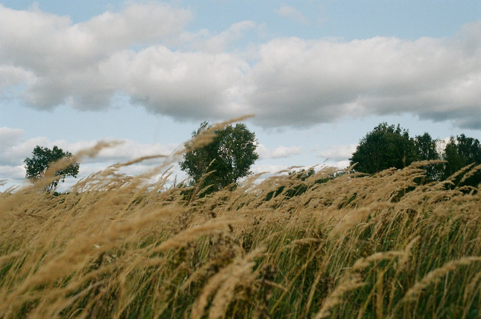 Горетово (2016-2022) — Избранные серии — Документальный фотограф Настя Сергеева