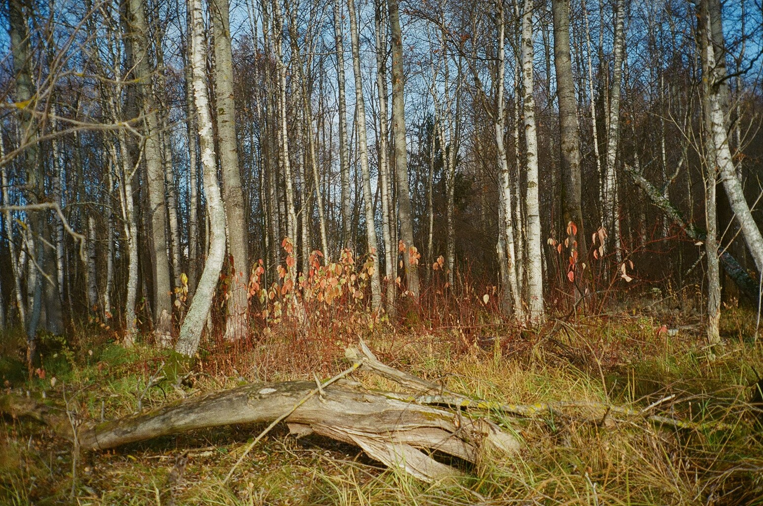 Горетово (2016-2022) — Избранные серии — Документальный фотограф Настя Сергеева