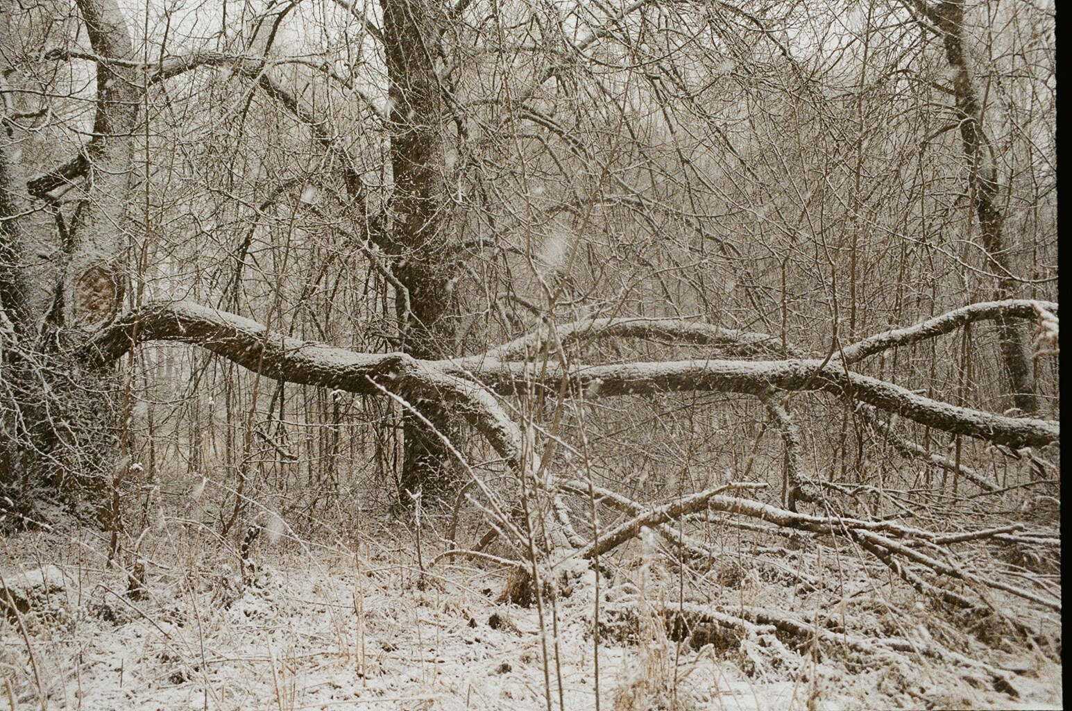 Горетово (2016-2022) — Избранные серии — Документальный фотограф Настя Сергеева