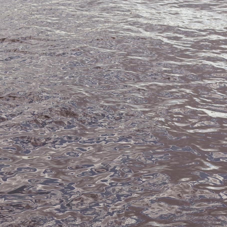 Фото-интервью с волонтерами, помогающими бездомным животным. Портретный фотограф в Санкт-Петербурге