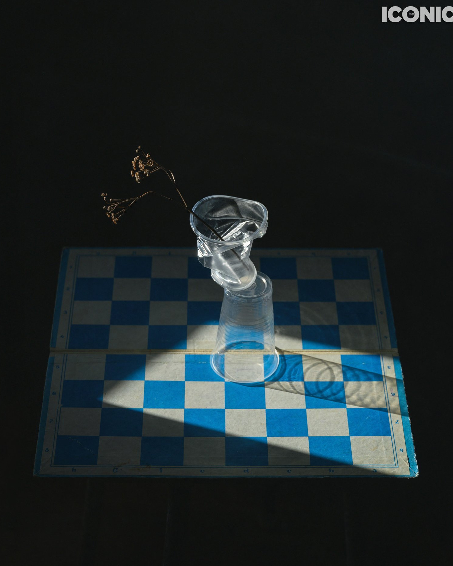 Щедрый Iconic. Фотограф Елена Хазина, Рязань