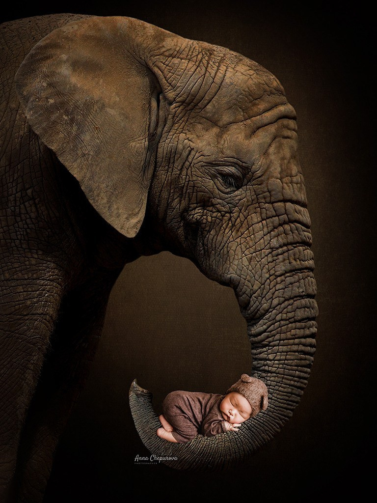 Стоимость съёмки «Новорожденные». Фотограф беременности и новорождённых в Москве