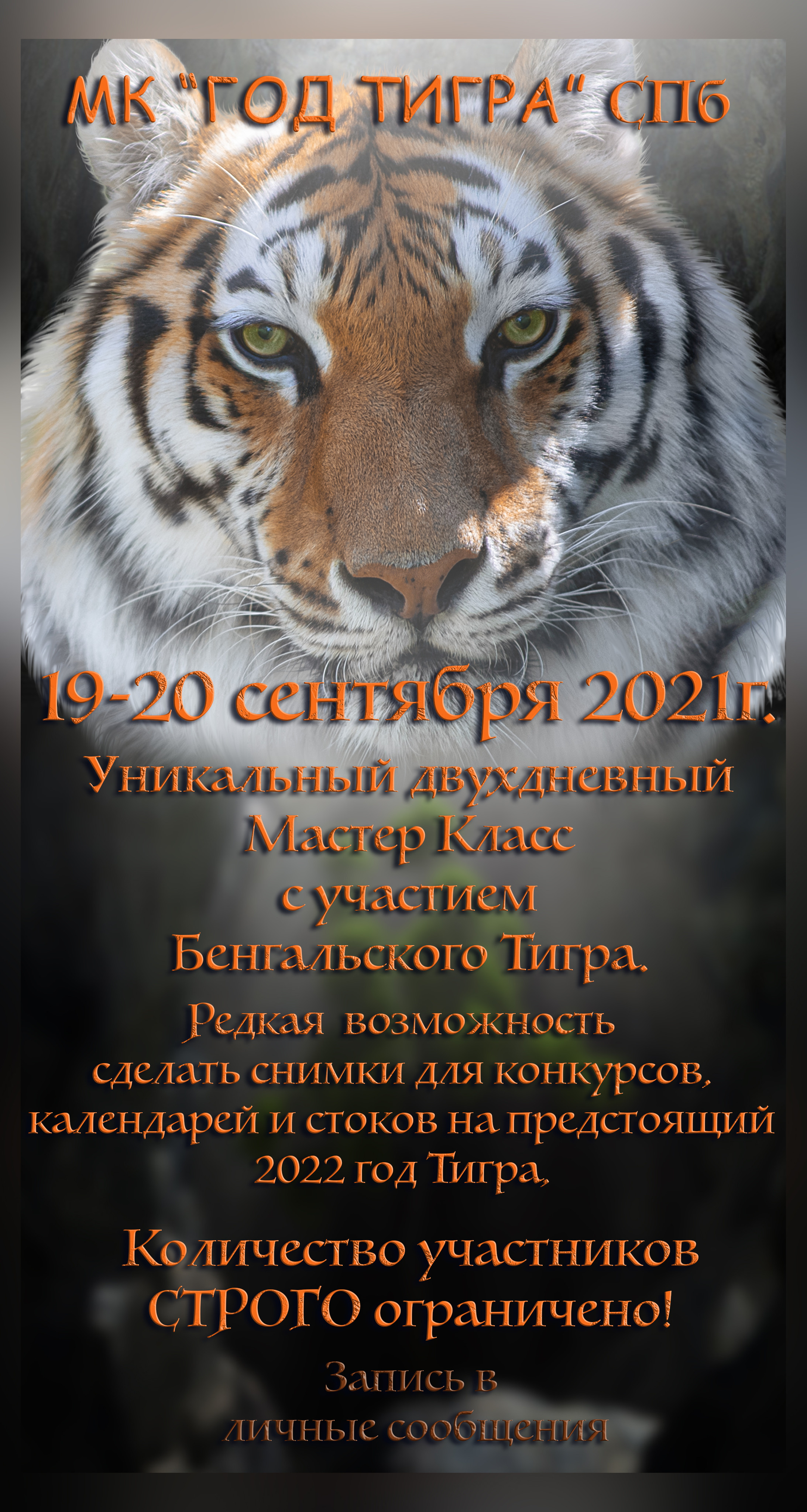 Мастер Класс "Год Тигра". Фотограф анималист в Санкт-Петербурге Светлана Писарева