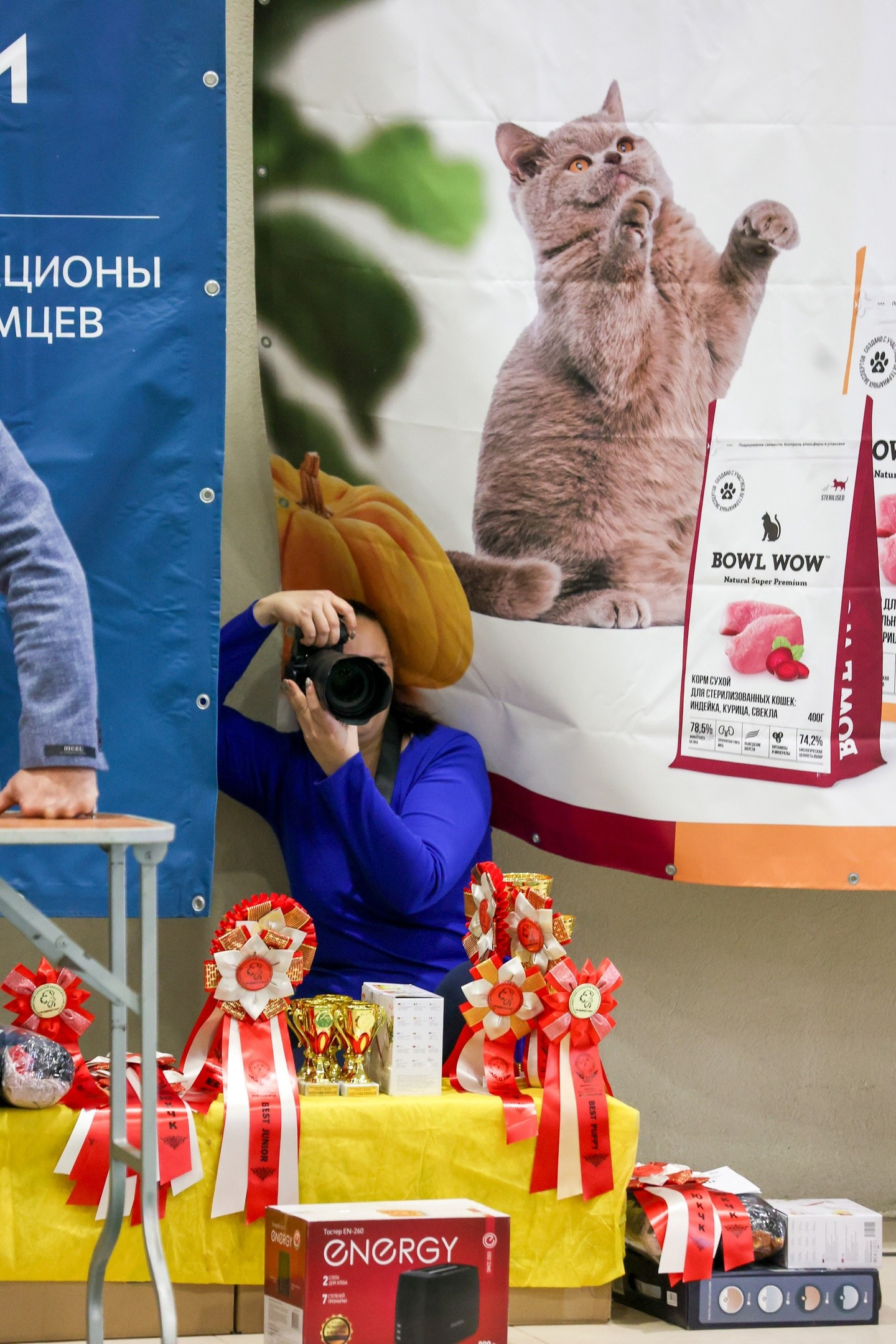 ✅ О СЕБЕ. Фотограф анималист Елена Галдина г. Красноярск