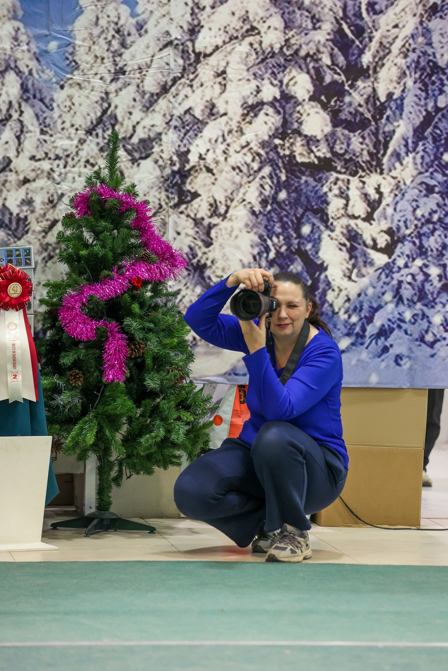 ✅ О СЕБЕ. Фотограф анималист Елена Галдина г. Красноярск