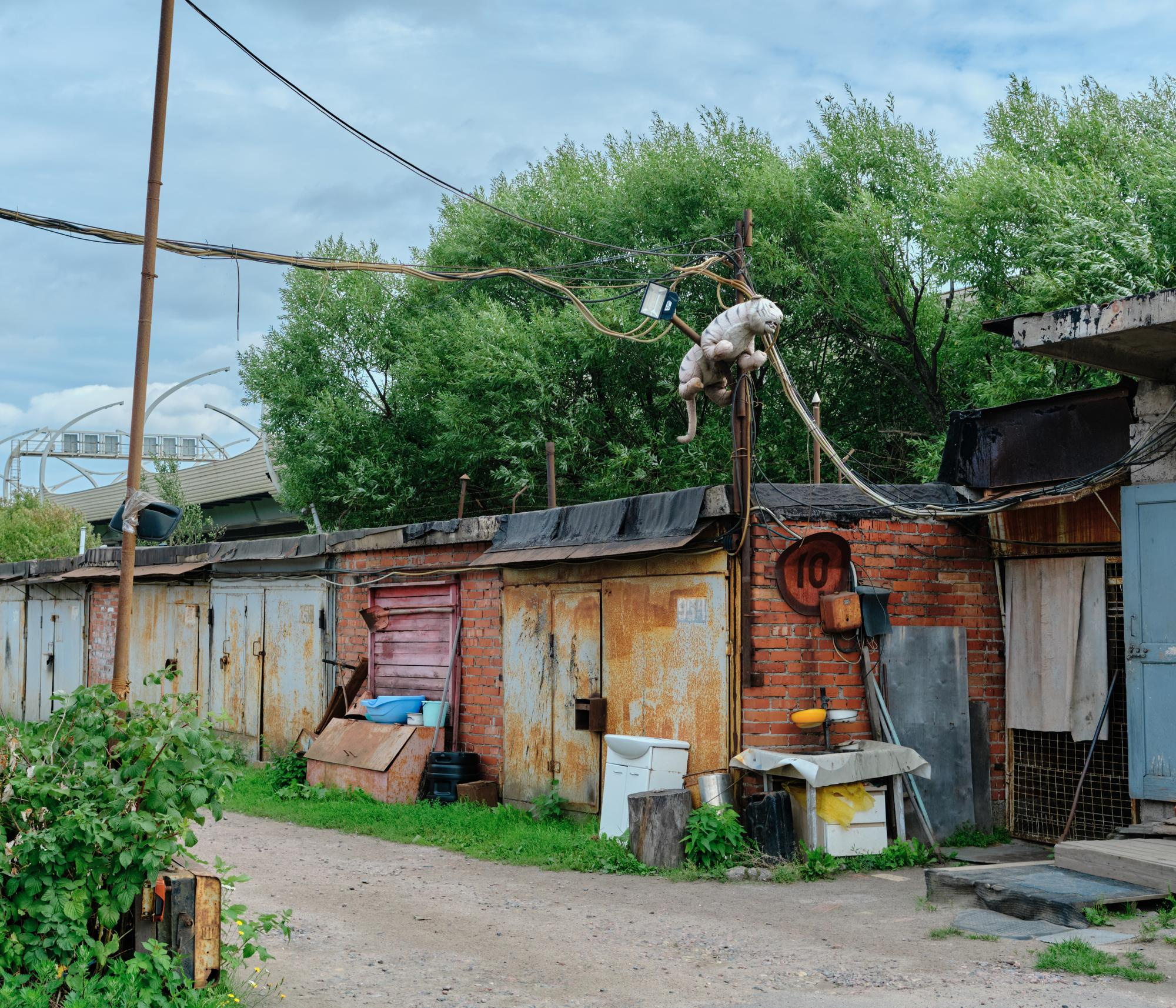 Фотограф Любовь Волкова