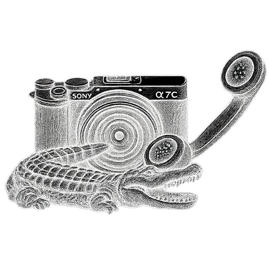 КОНТАКТЫ. Фотограф и визуальный художник в Туле / Николай Рейзвих